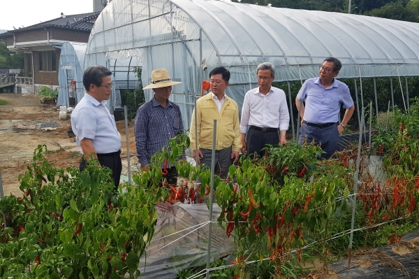 소성모 농협상호금융 대표(가운데)가 전북 임실의 농가를 방문해 폭염피해를 점검하고 있다.